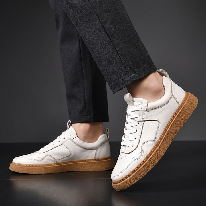 Ashford Sneakers